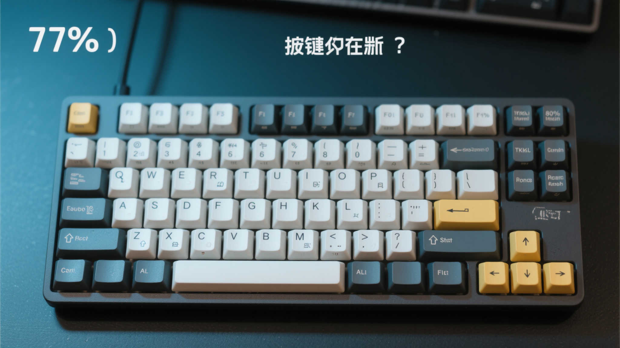 PG赏金女王介绍